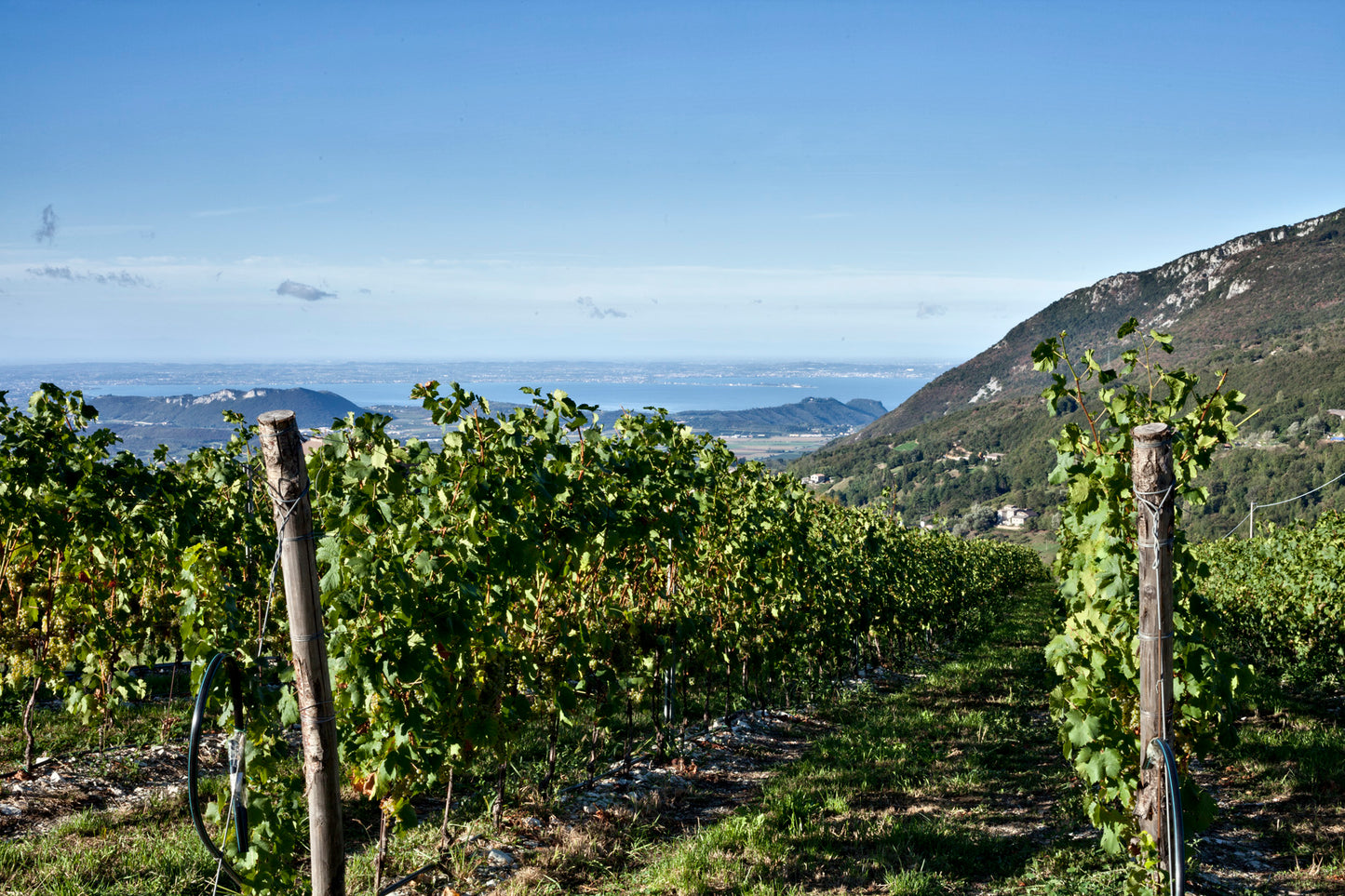Weinprobe Spaniens Juwelen am 03.10.2025