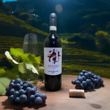 Aglianico del Taburno 2017 - cooks&wines.de